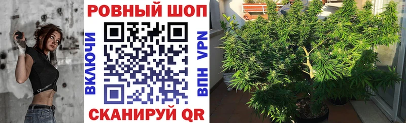 Как найти закладки Лосино-Петровский ГАШИШ Alpha-PVP Меф мяу мяу КОКАИН