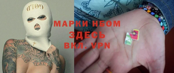 ПСИЛОЦИБИНОВЫЕ ГРИБЫ Вязники