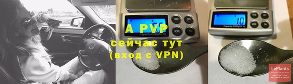 спиды Вяземский