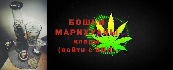 ПСИЛОЦИБИНОВЫЕ ГРИБЫ Вязники