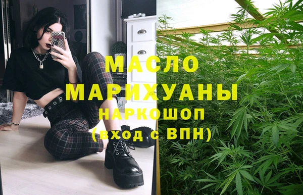 спиды Вяземский