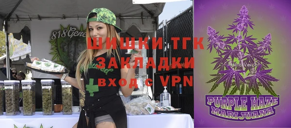 ПСИЛОЦИБИНОВЫЕ ГРИБЫ Вязники