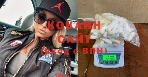 ПСИЛОЦИБИНОВЫЕ ГРИБЫ Вязники