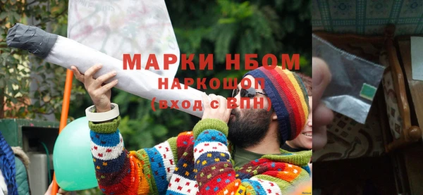 ПСИЛОЦИБИНОВЫЕ ГРИБЫ Вязники