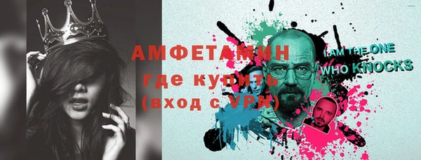 спиды Вяземский