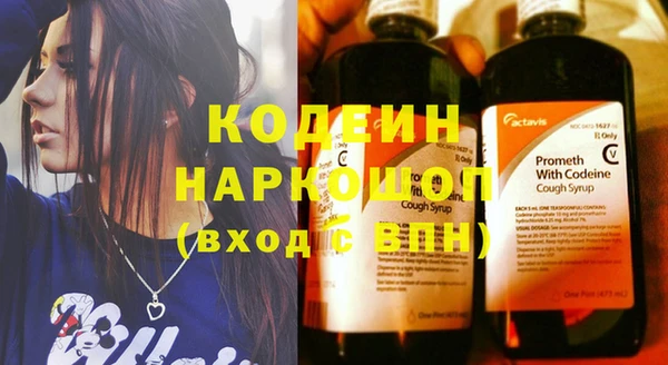 ПСИЛОЦИБИНОВЫЕ ГРИБЫ Вязники