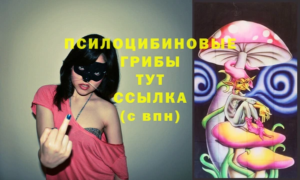 ПСИЛОЦИБИНОВЫЕ ГРИБЫ Вязники
