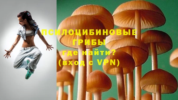 спиды Вяземский