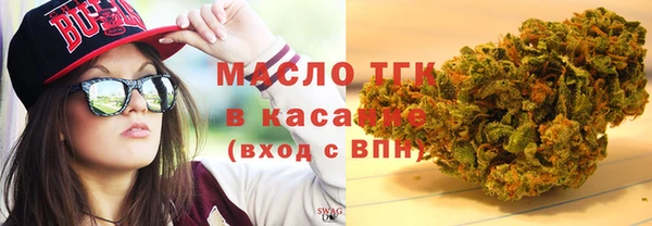 спиды Вяземский